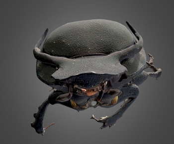 Modern Robot-ID:957525016