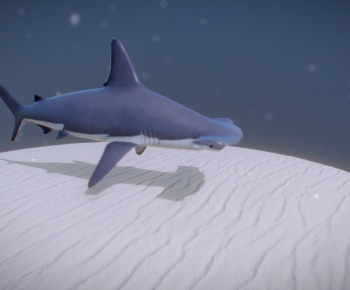 Modern Aquatic Animals-ID:448553097