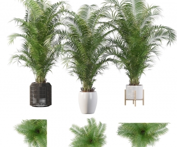 Modern Potted Green Plant-ID:549840981