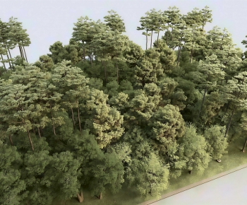 Modern Tree-ID:737885954