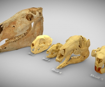 Modern Animal-ID:168446061