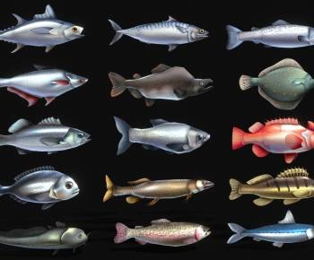 Modern Aquatic Animals-ID:563474897