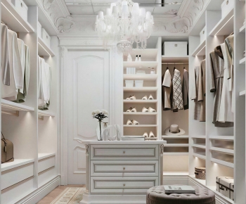 Modern Clothes Storage Area-ID:336797953