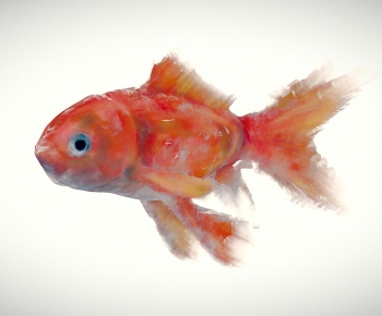 Modern Aquatic Animals-ID:243268979