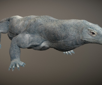 Modern Reptile-ID:662610583