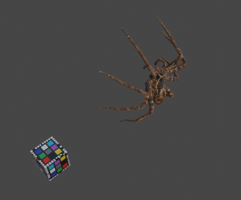 Modern Animal-ID:969960785