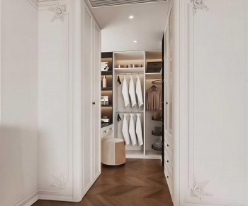 Modern Clothes Storage Area-ID:118717917