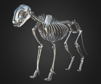 Modern Animal-ID:176448874