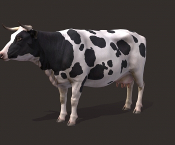 Modern Animal-ID:898350002