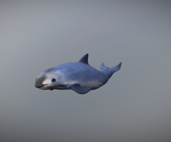 Modern Animal-ID:760421043