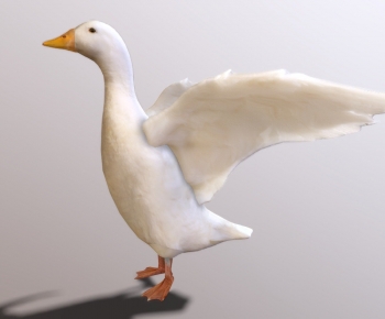 Modern Poultry Animal-ID:101800089