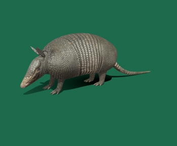 Modern Reptile-ID:160989818