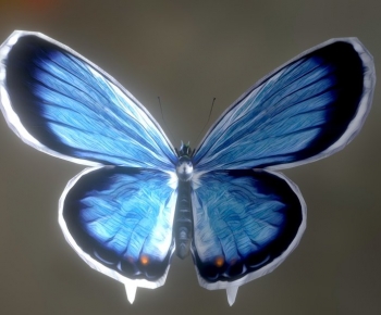 Modern Flying Animals-ID:249775894