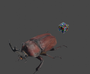 Modern Animal-ID:633956916