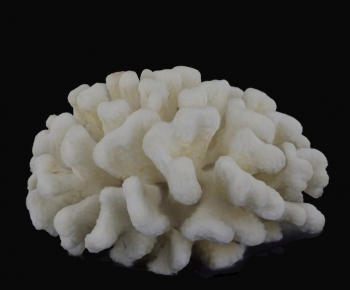 Modern Other-ID:768964051