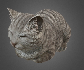 Modern Animal Cat-ID:648132094