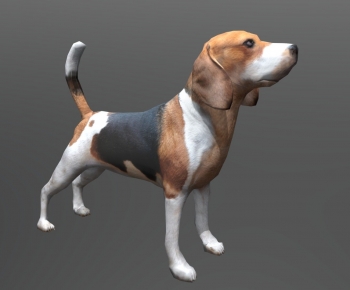 Modern Animal-ID:744271992