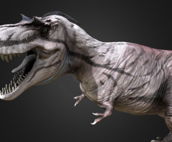 Modern Animal-ID:984811078