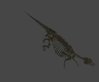 Modern Animal-ID:947101122