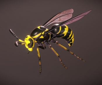 Modern Animal-ID:748655089