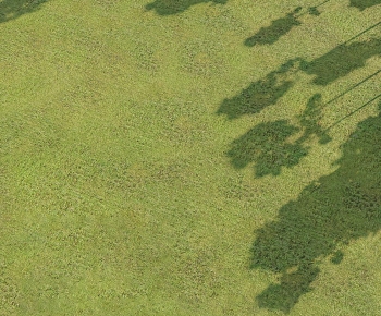 Modern The Grass-ID:954778912