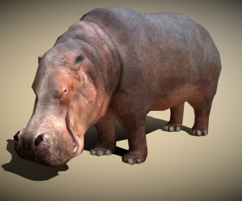 Modern Animal-ID:503098964