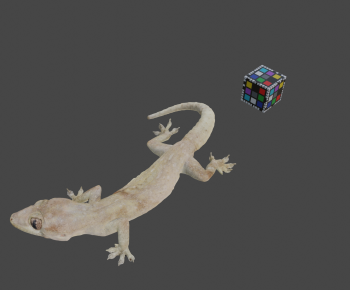 Modern Animal-ID:932622918