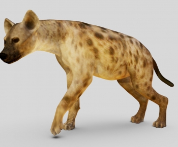 Modern Mammal-ID:820432901