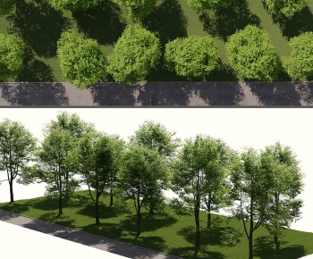 Modern Tree-ID:647699129