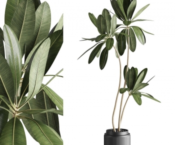 Modern Potted Green Plant-ID:678010948