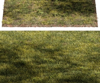 Modern The Grass-ID:187330967