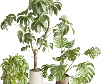 Modern Ground Green Plant Potted Plants-ID:504014973