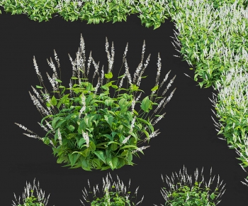 Modern Shrubbery-ID:555634022