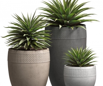 Modern Potted Green Plant-ID:103256948