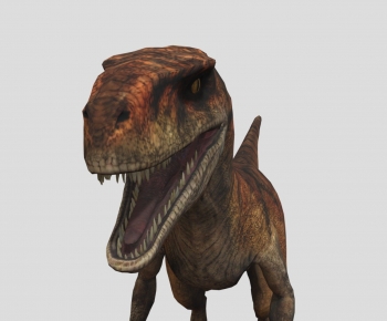 Modern Animal-ID:338557962