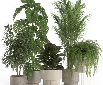 Modern Ground Green Plant Potted Plants-ID:839952958