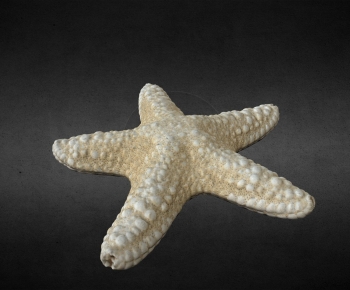 Modern Aquatic Animals-ID:174941068