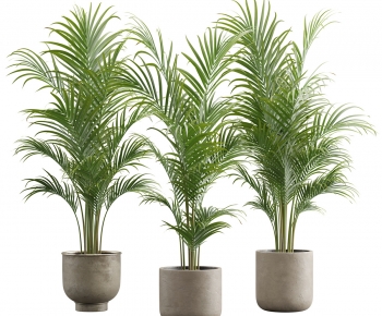 Modern Ground Green Plant Potted Plants-ID:570105084
