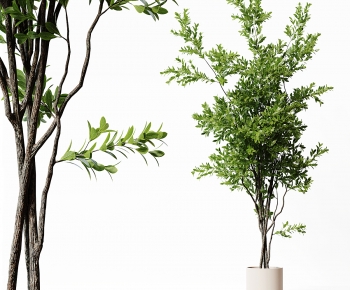 Modern Ground Green Plant Potted Plants-ID:870439059