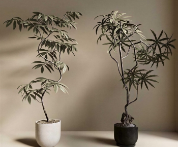 Modern Ground Green Plant Potted Plants-ID:342921972