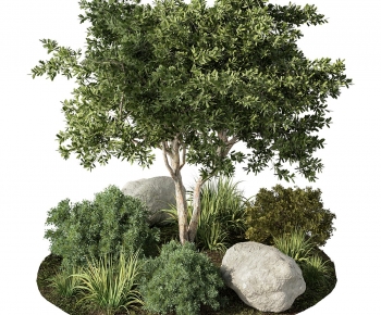 Modern Garden-ID:801880488