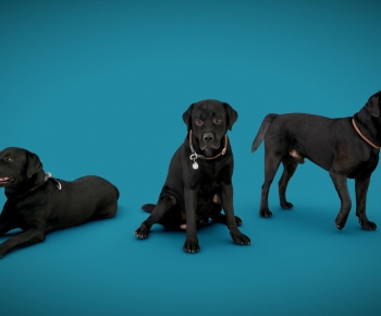 Modern Animal Dog-ID:695384983