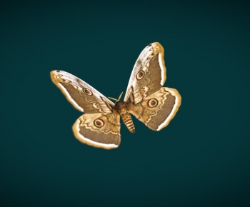 Modern Flying Animals-ID:328090913