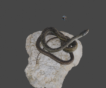 Modern Reptile-ID:631789923