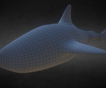 Modern Aquatic Animals-ID:196770917