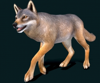 Modern Mammal-ID:686016087