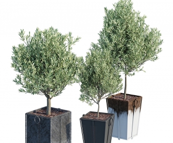 Modern Potted Green Plant-ID:187486896