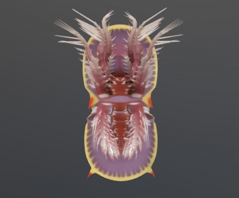 Modern Bookcase-ID:856189018