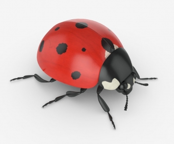 Modern Flying Animals-ID:871357929