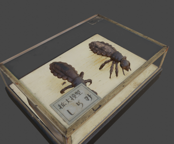 Modern Reptile-ID:933934939